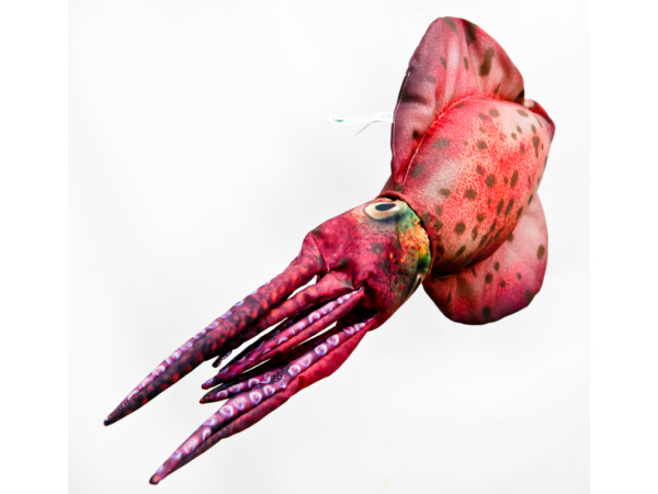 GABY - Polštář Oliheň 76cm