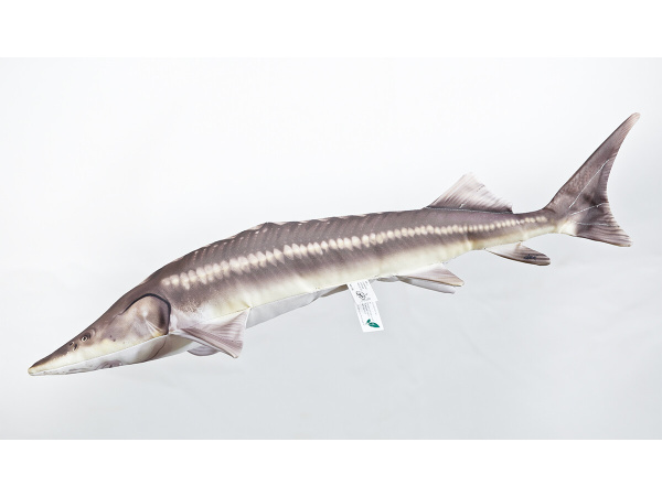 GABY - Polštář Jeseter malý 60cm