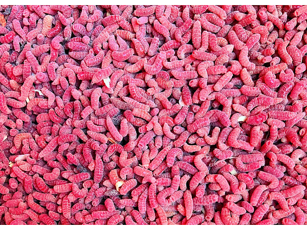 Mivardi Pinka červená (1L=600gr.)