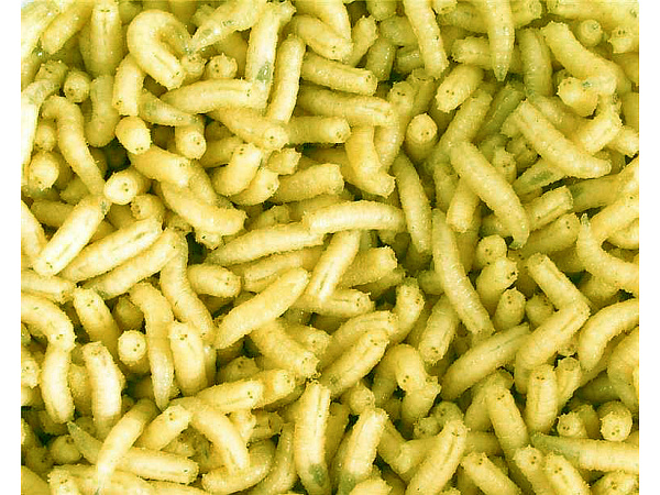Mivardi Larva fluo l (1L=600gr.)