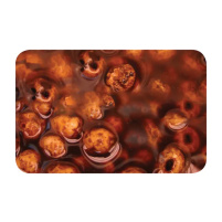 Karel Nikl Nikl Tygří ořech nakládaný fermentovaný - receptura KN 2kg