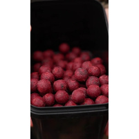 Karel Nikl Nikl Ready boilie Gigantica Attractive