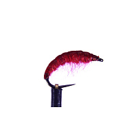 Blešivec Červený - vel.14 - 1ks