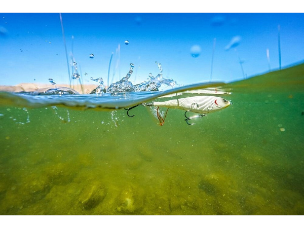 Berkley - Wobler Choppo Floating 12cm, 28g