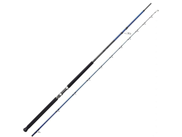 Savage Gear - Prut SGS6, 3,05m, 30 - 100g MH, 2D 