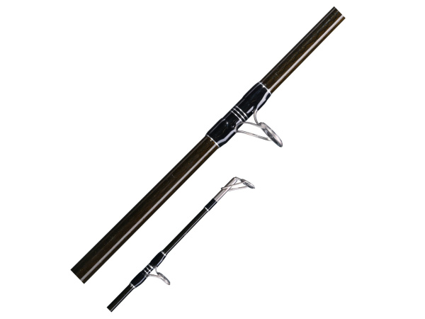 Giants fishing Prut Deluxe Catfish 2,9m 500g