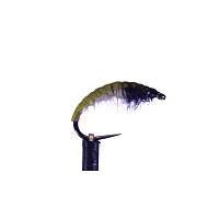 Blešivec přírodní - vel.10 - 1ks