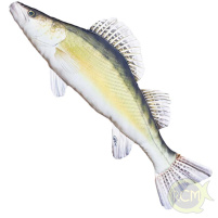 Gaby - Polštář Candát obecný 50cm