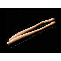Libra Lures - Nástraha DYING WORM 70mm / cheese / pellet / 15ks