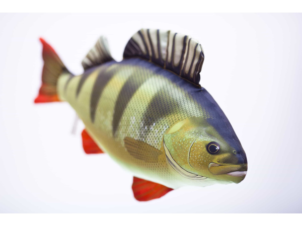 GABY - Polštář Okoun říční 50cm