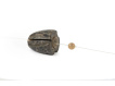 FOX - Removable Flying Back Weights 10g ,5ks