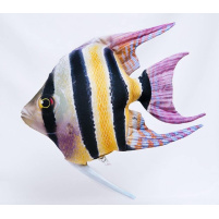 GABY - Polštář Skalára amazonská 51cm