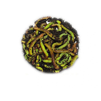 ATK - Rousnice zelené