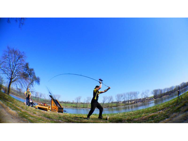 Sportex - Prut Purista stalker Carp 11ft (3,37m) 2,75lb 2-Díl 