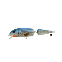 Dorado Bom-bon 13cm - B