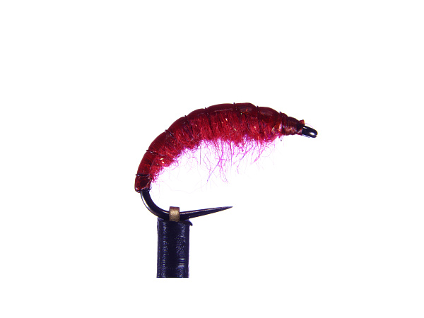 Blešivec Červený - vel.14 - 1ks