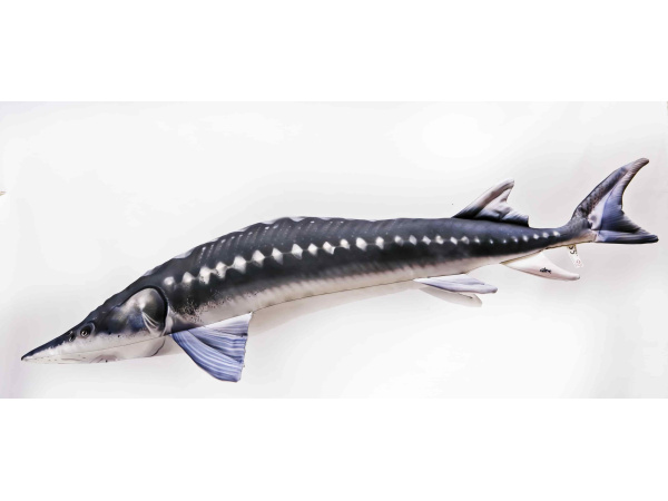 GABY - Polštář Jeseter velký 36cm