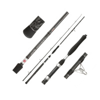PENN - Prut Legion Cat silver power allround 3m, 200 - 400g, 2D - VÝPRODEJ