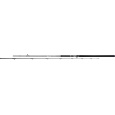 MIKADO - Prut Bixlite pike master 2,4m 30-105g, 2D