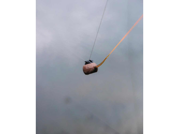 Fox Captive Backweight