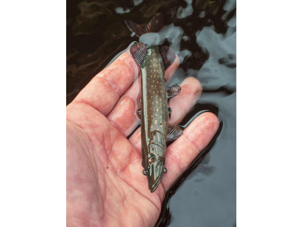 Fox Rage Ultra-Realistic Pike Replicant