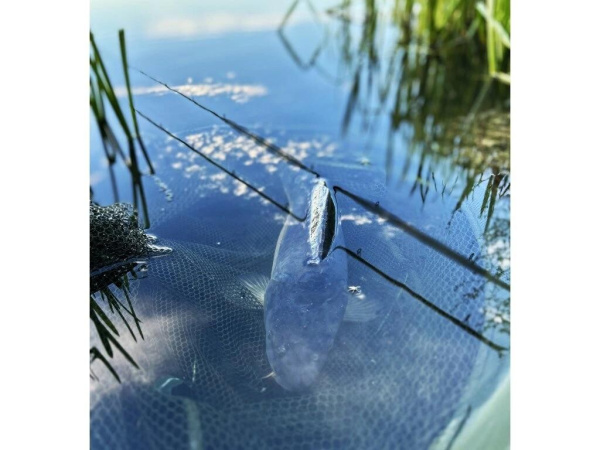 Chytil - Carp Mix krmítková směs 800g