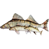 BeCare - Polštář Candát 60cm