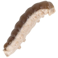 Berkley - Vosí larva Powerbait Honey Worm 55ks 2,5cm - Greypearl