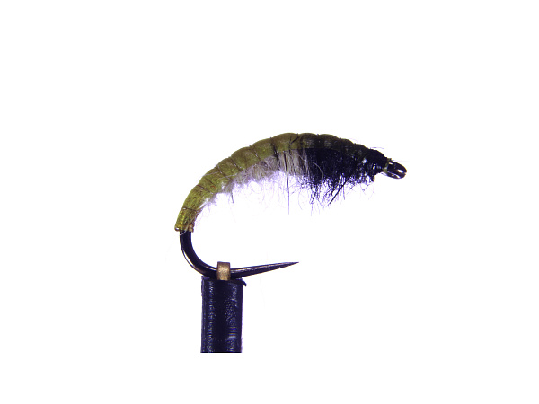 Blešivec přírodní - vel.14 - 1ks