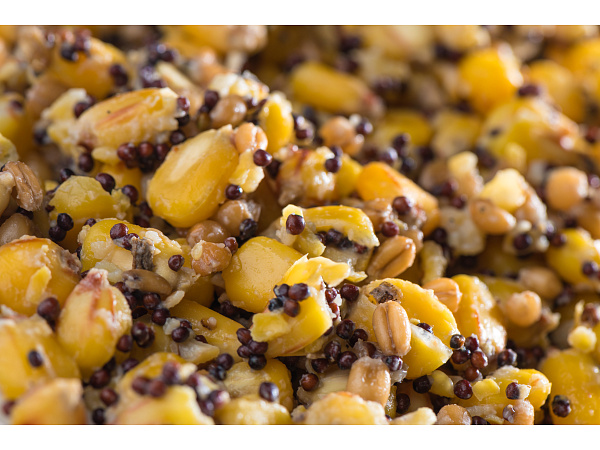 Mivardi Partikl mix 1kg