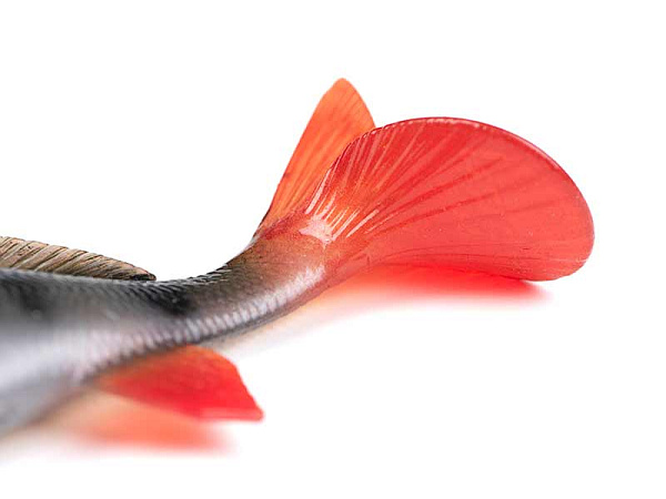 Fox Rage Ultra-Realistic Perch Replicant