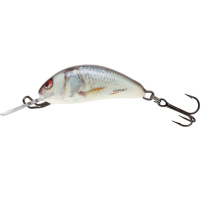 Salmo - Wobler Hornet floating 3,5cm - Real Dace