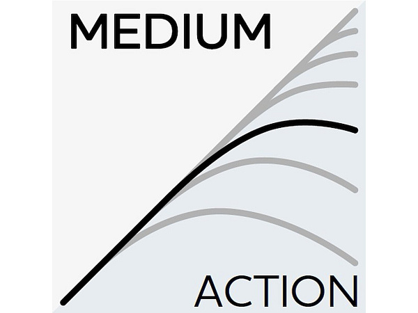 Westin Prut W3 Powercast 3rd XH 2,51 m 20-80 g