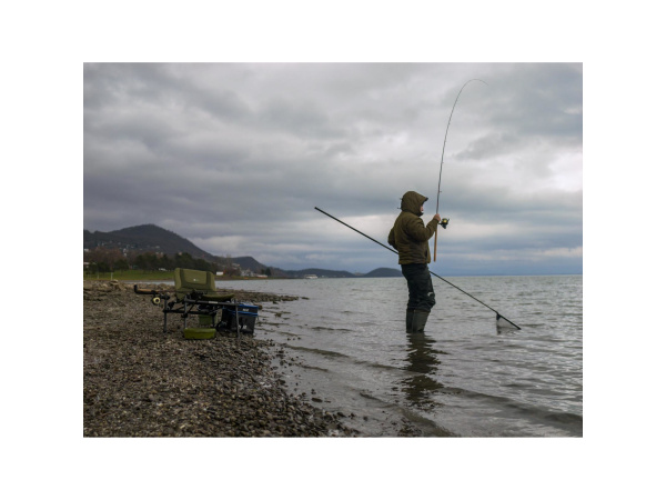 Giants fishing Prut Fluent MK2 Feeder