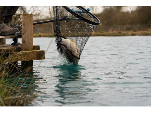 PRESTON INNOVATIONS - Podběráková hlava Carp XS Landing Net, 60 cm