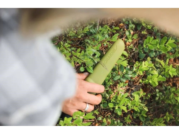 MORAKNIV - Nůž Companion Olive Green