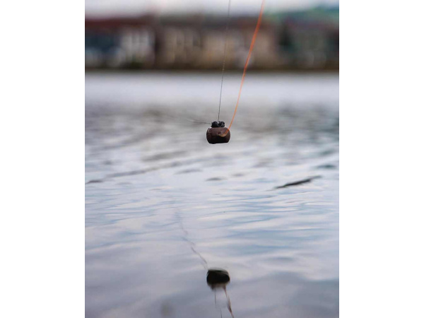 Fox Captive Backweight