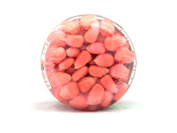 CUKK - Nakládaná kukuřice bez nálevu 125g - mango