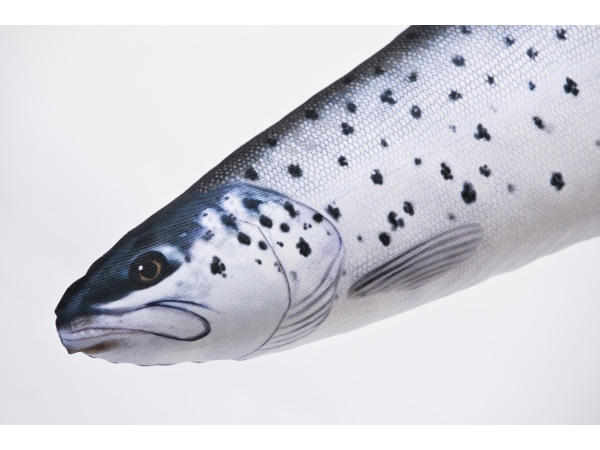 GABY - Polštář Pstruh Obecný Mořský 51cm