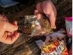 Giants fishing PVA sáčky Bags, 25ks (mega pack)