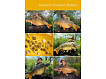TB Baits Boilie Corn 2,5 kg - 20 mm
