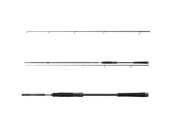 DAIWA - Prut Caldia Spin, 1,95m, 1-6g, 2D