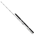 DAIWA - Prut BG deep sea boat rod 2,2m 30-40lb 2D