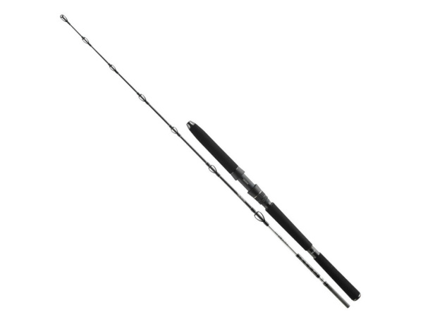 DAIWA - Prut BG deep sea boat rod 2,2m 30-40lb 2D