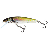 Salmo - Wobler Minnow floating 5cm - Holo Break