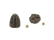 FOX - Removable Flying Back Weights 10g ,5ks