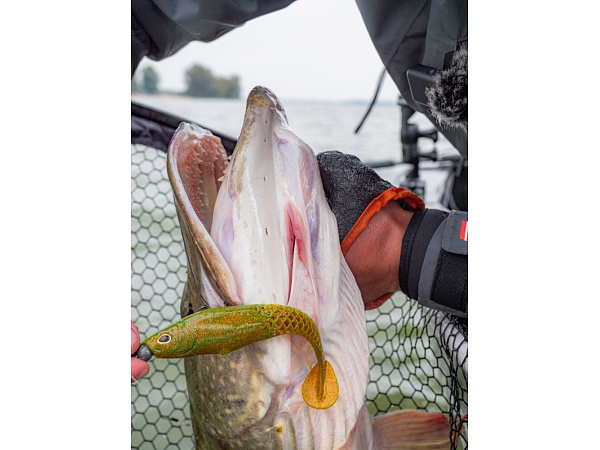 Berkley - Set Nástrah PowerBait Cullshad Mixpack, 15cm, 3ks, Darkwater