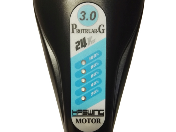 Haswing - Elektromotor 3.0 109LB 24V
