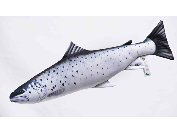 GABY - Polštář Pstruh Obecný Mořský 51cm