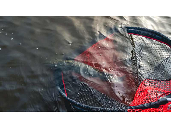 Fox Rage Speedflow Landing Nets